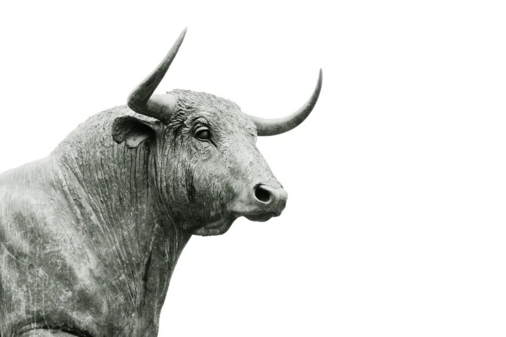 bull representing stock market investing
