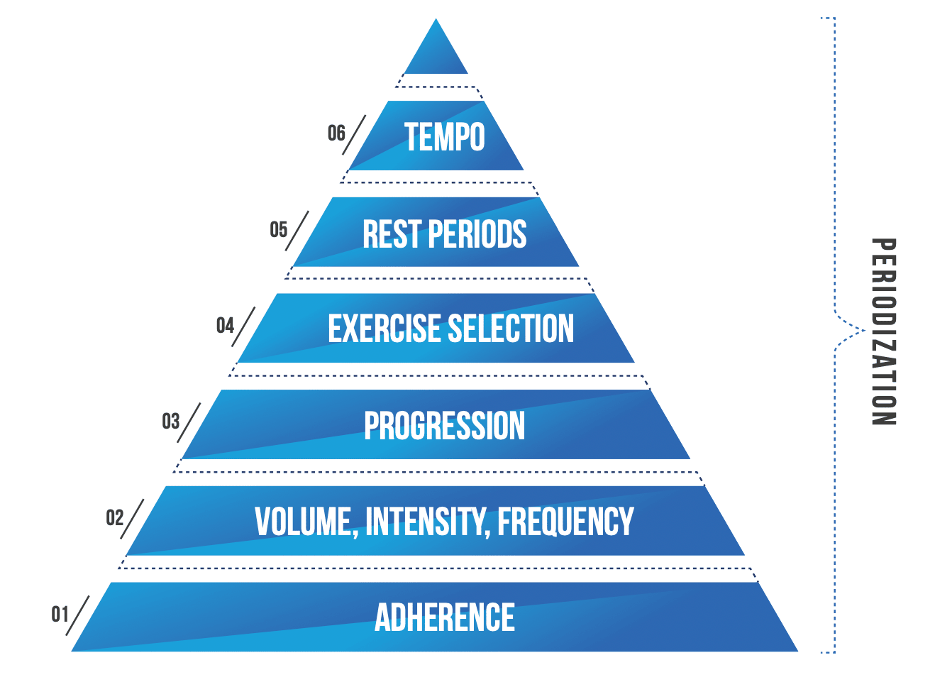 The Muscle and Strength Pyramid Training summary 