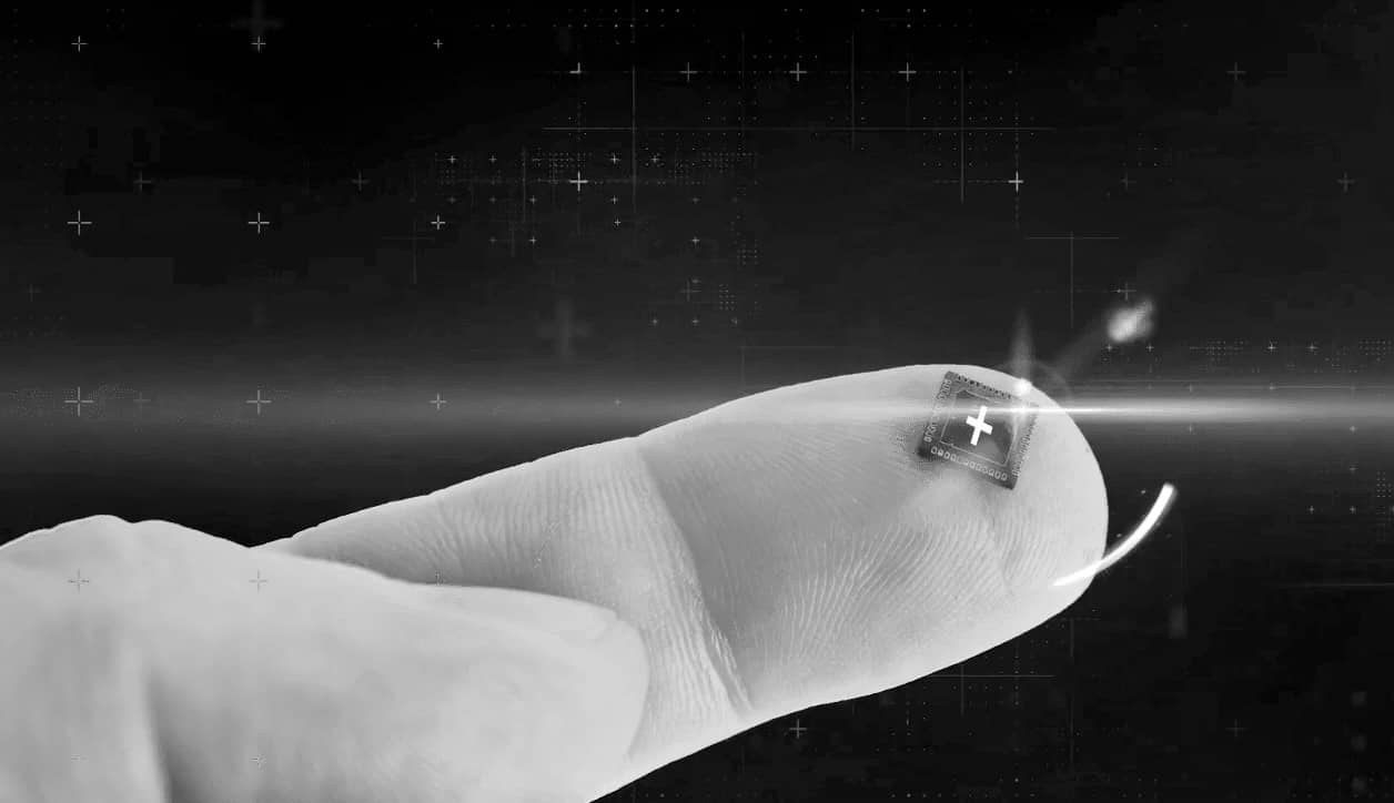 Arm Goes Public (Shares Jump 25 on Day 1) 2024